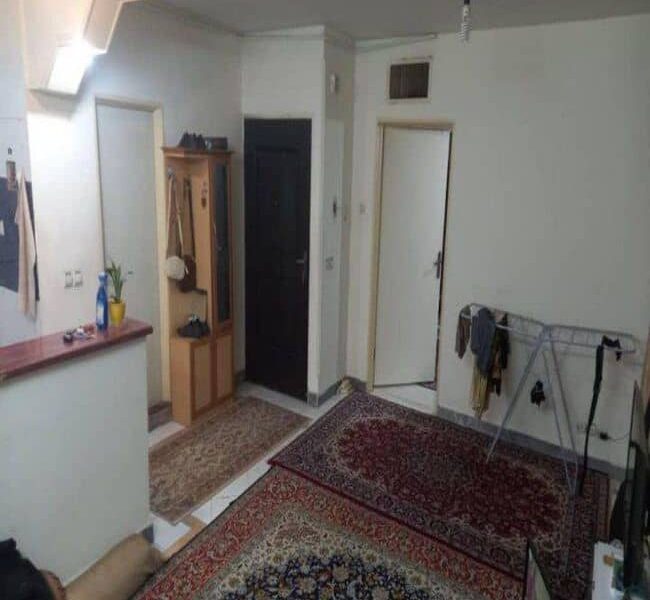 ملک یک خوابه پنجاه و یک متری