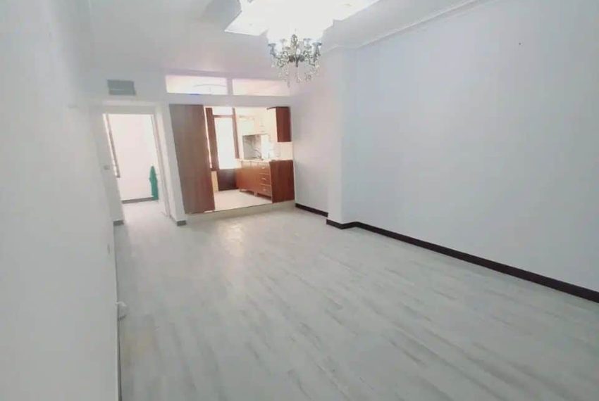 buy-aparteman-52-metri-andishe